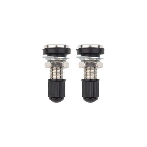 2 pièces Voiture Moto Pneu Valve Tubeless Potence en métal avec Capuchon Anti- (32mm) (1/5)