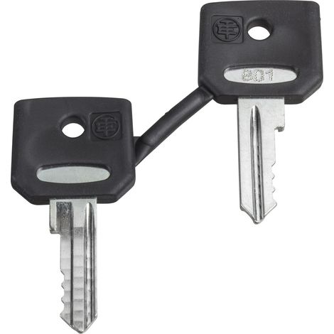 clé pour serrure - n degrés458a - schneider harmony zbg458a (1/2)