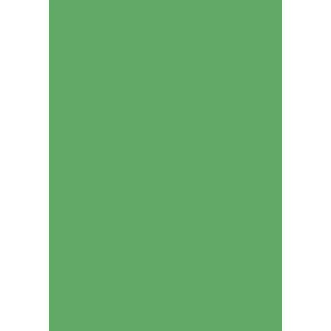 Rouleau de papier crépon 32 g/m² 50 cm x 2,5 m vert moyen, lot de 10 (1/2)