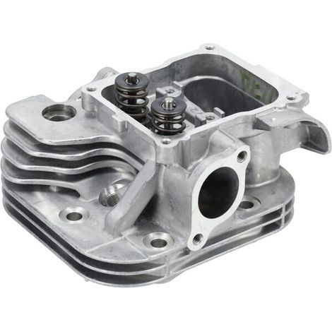 Cilindro testa BRIGGS & STRATTON 84006467 (1/5)