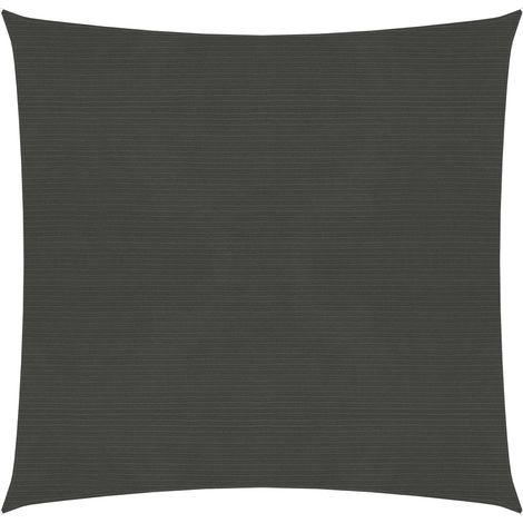 Vela ombreggiante/ombrellone 160 g/m² 2,5 x 2,5 m HDPE antracite 020008903