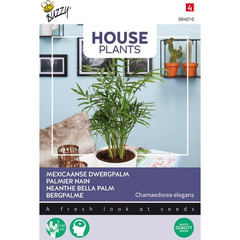Buzzy House Plants Chamaedorea Palmier nain Semences - Ca. 15 (1/2)