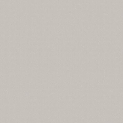 WOW Vliestapete Glitzer taupe (1/3)