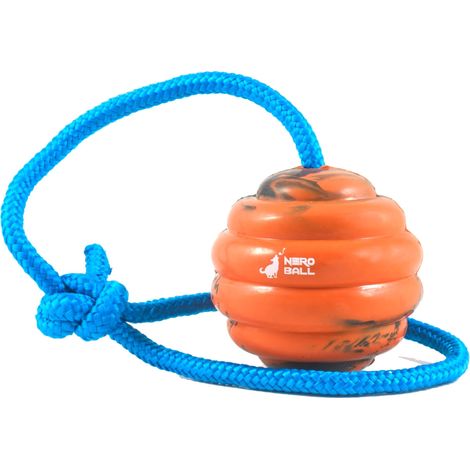 Balle d'entraînement pour Chien sur Corde Jouet d'exercice et de récompense pour Chiens (1/5)