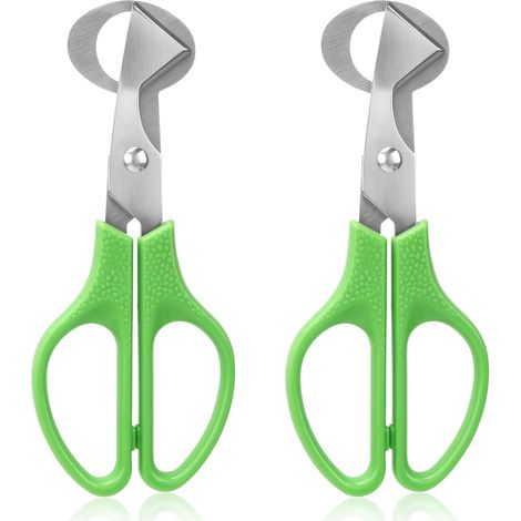 Coupe-œufs de caille en acier inoxydable, ouvre-œufs pratique pour cuisine et restaurant, lot de 2 pièces vert (1/5)