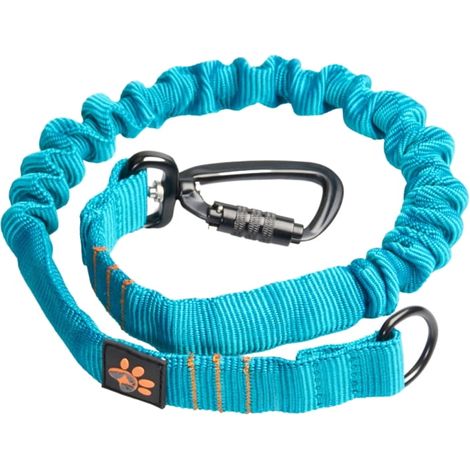 JoQu® Starker Stoßdämpfer für große Hunde, Türkis
