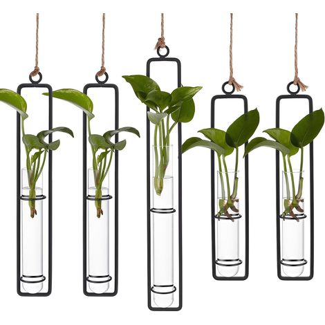 5 Ensemble de Station de Propagation Suspendue en Verre Vases à Plantes Transparents en Forme de Tube à Essai avec Cadre en Fer (Modèle 3) Jardinières Hydroponiques Murales pour Décoration (1/5)