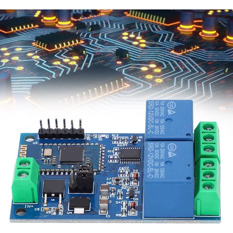 Zweikanaliges DC12V Bluetooth-Relais mit IoT-Mobil-App und Fernbedienung (1/5)