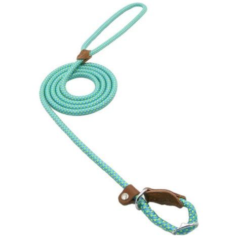 Dog leash, 150 cm, blue, size XL (1/5)
