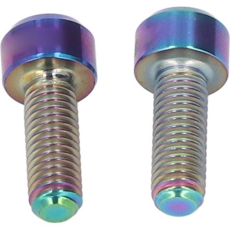 RISK 2er-Pack Geschwindigkeitsverstellschrauben aus Titanlegierung mit Fingergasgriff M5x14mm für Mountainbikes (1/5)