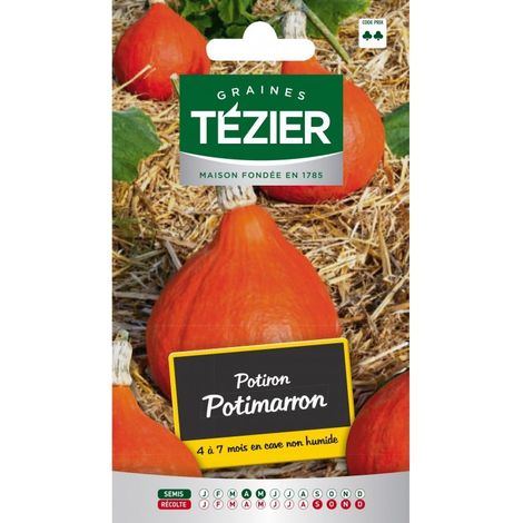 Tezier - Potiron Potimarron