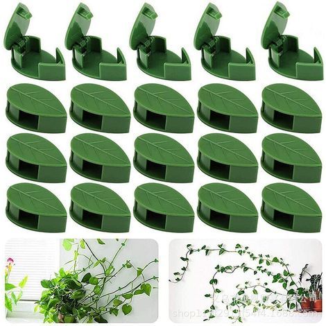 Lot de 20Clips muraux Invisibles en Forme de Feuille pour grimpantes, Supports réutilisables pour Pots, balcons, serres d'intérieur (1/4)