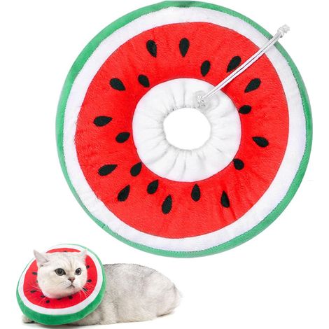1 Collier conique ajustable, tissu doux velouté, accessoire convalescence chat chien, protection plaies corps supérieur (1/5)