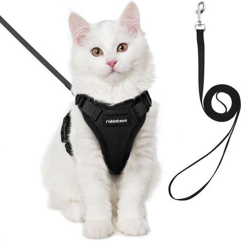 Harnais Chat Harnais pour Chat/Petit Chien Laisse Harnais Chat Noir S Collier Harnai Chat Réglable Respirant avec Laisse (1/4)