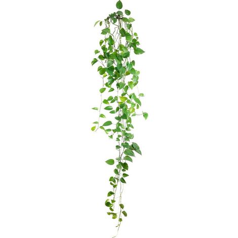 Stickers muraux branches de lierre 20 x 70 cm – Dimensions appliquées 15 x 62 cm – Décoration intérieure élégante et naturelle – Sud Trading (1/2)