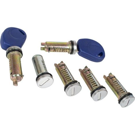 Juego de 6 insertos para cerraduras de Iveco Daily 2006 (1/2)