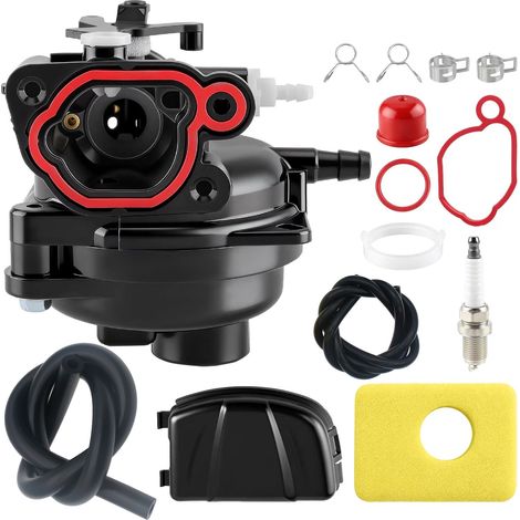 Carburateur 799583, 593261, 595656, 591979, 591160, couvercle filtre air 595660, 550E (1/5)