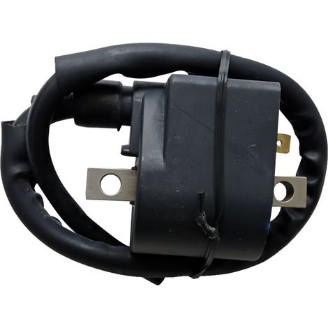 Motorcycle accessories compatible with AX100 integrated high-voltage transformer ignition coil (1/5)