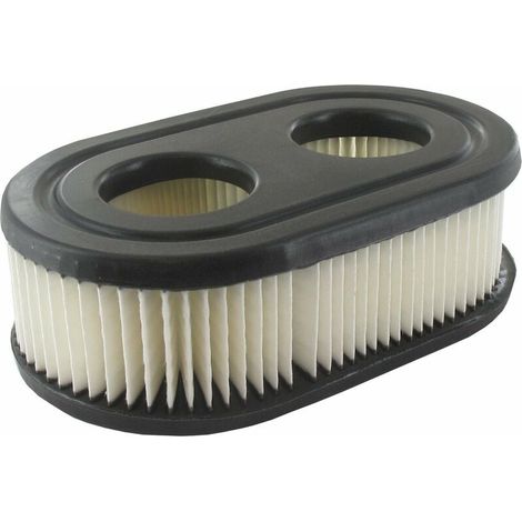 Filtro aria BRIGGS AND STRATTON 593260