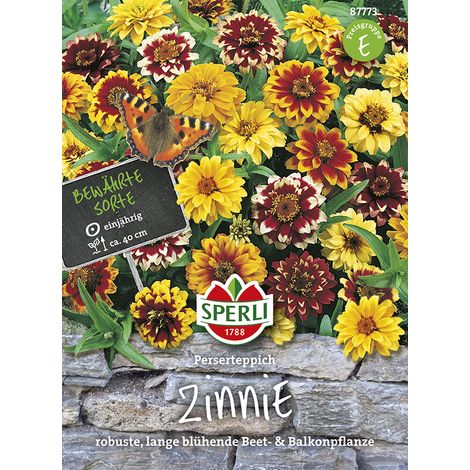 Sperli – Zinnia nain « Perserteppich » en mélange – Graines de fleurs, semi-doubles et doubles, 40 cm (1/2)