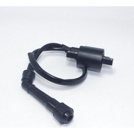 Transformateur haute tension XSAN pour motos Yamaha Grizzly 660 et bobines d'allumage YFM660 (1/2)
