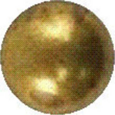 BULLETTA TAPPEZZIERE LISCIA OTTONATO 10 MM 1000 PZ