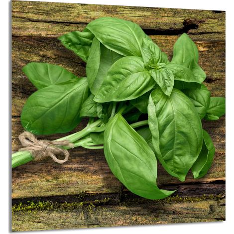 PANEL DE VIDRIO PARA COCINA 60x65 Albahaca (1/5)