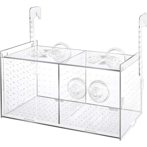 Aquarium surélevé en verre transparent pour petits poissons et crevettes incubateur pour élevage aquatique