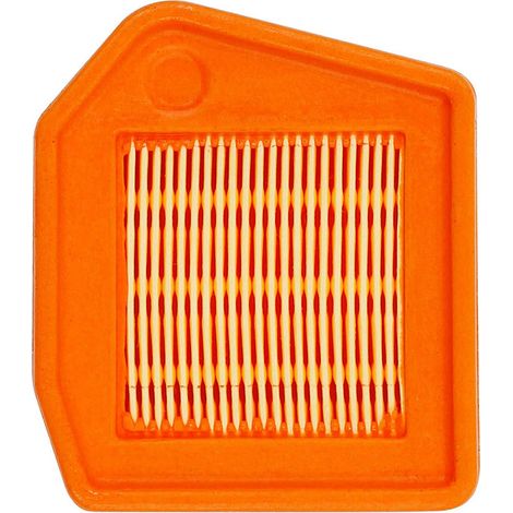 Kit filtro aria compatibile con STIHL FS240 FS260 FS240R FS360 Codice articolo 4147-141-0300 - ALTRO (1/3)