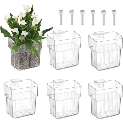 6 Supports à Plantes pour Aquarium en Acrylique: Pots Suspendus Décoratifs avec Ventouses, Système de Culture pour Décoration Aquatique Mini Bassin  Design Moderne et Pratique (1/5)