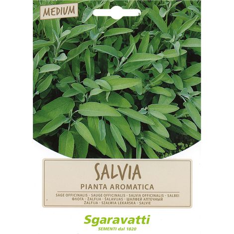 SEMI PER ORTAGGI E VEGETALI salvia officinale Q.TA 20 salvia officinale
