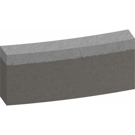 Bosch Segmente für Diamantbohrkrone Ø 200, 12 Segmente, Standard for Concrete, für Diamantbohrer (1/5)
