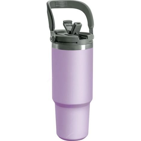 (Violet, 600 ml) Bouteille d'eau isotherme à double paroi en acier inoxydable avec poignée et paille, adaptée aux boissons chaudes et froides. (1/5)