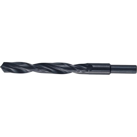 Punte Hss Codolo 13 Mm D 16,0 Mm - 3 Pz (1/2)