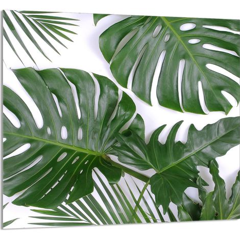 PANNELLO IN VETRO PER CUCINA 65x60 Monstera (1/5)