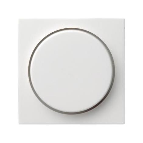 Gira Abdeckung rws-gl f.Drehdimmer 065003 (1/5)