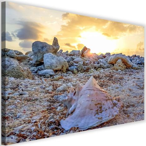 Tableau sur toile Coquillage Pierres Mer 60x40 (1/5)
