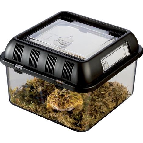 Exoterra Transportbox für Reptilienzucht S (1/4)