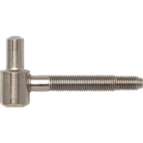SFS Bandunterteil Anuba, 16 mm, Stahl vernickelt (1/3)