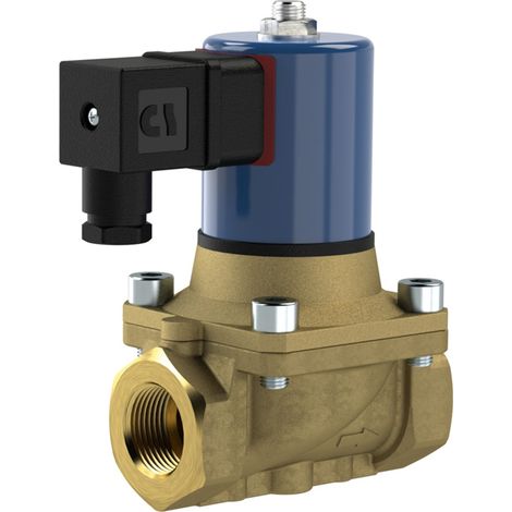 Riegler 2/2 MV, NC, MS, G34, DN20, PN 0-12, FPM, zwangsg., 24V DC