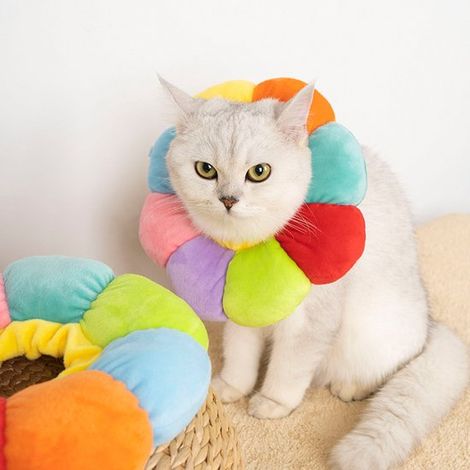 Collier de convalescence fleuri et coloré pour chats et petits chiens - Collier ajustable - Pour petits animaux après une intervention chirurgicale (1/5)