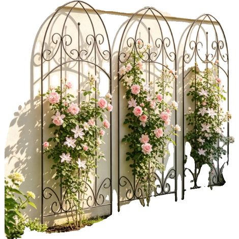 Enrejado para plantas, diseño de arco, construcción resistente a la intemperie, color negro. (1/5)