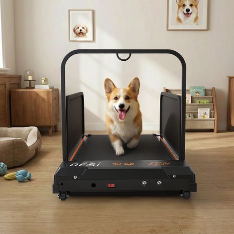 Tapis de course pour chien compact 2 en 1, moteur 2,5 HP, noir HAVRYA (1/5)