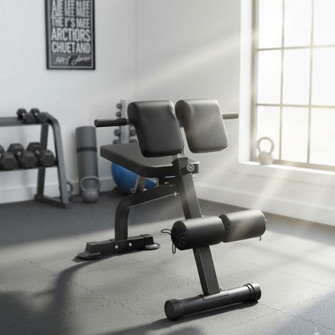 Banc de Musculation Pliable avec Hauteur et Inclinaison Réglables pour Entraînement Dos Bras, 96,6x68x69-110cm, Noir (1/5)