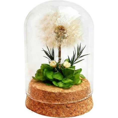 1 Pissenlit éternel sous cloche, fleurs stabilisées, décoration verre, cadeau Saint Valentin femme (1/5)