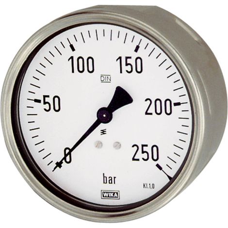 Riegler Manometer, Robustausfür, G 1/2 hinten exzentr., 0 - 6,0 bar, Ø 100 (1/2)