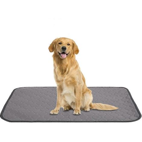 Tapis absorbants pour animaux - Tapis lavables pour chiens, tapis d'apprentissage réutilisables, tapis imperméables pour bébés, sol absorbant (1/5)