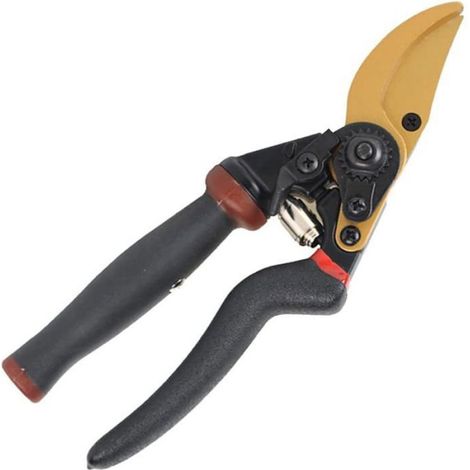 Sécateur - Acier Inoxydable - Pour Taille Arbres Fruitiers et Entretien Jardin - 22 cm - 1 Pièce (1/5)