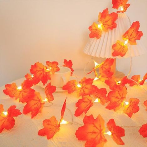 Guirlande lumineuse - - 3m - 20 LED - USB rechargeable - Décoration Halloween (1/3)