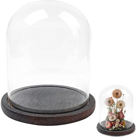 Cloche en verre avec base en bois de chêne 15 cm de diamètre x 18,5 cm de hauteur (1/5)